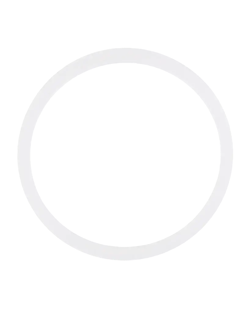 Back Camera Lens O-Ring Gasket For iPhone 8 / SE (2020) / SE (2022) (100 Pack) (Premium)