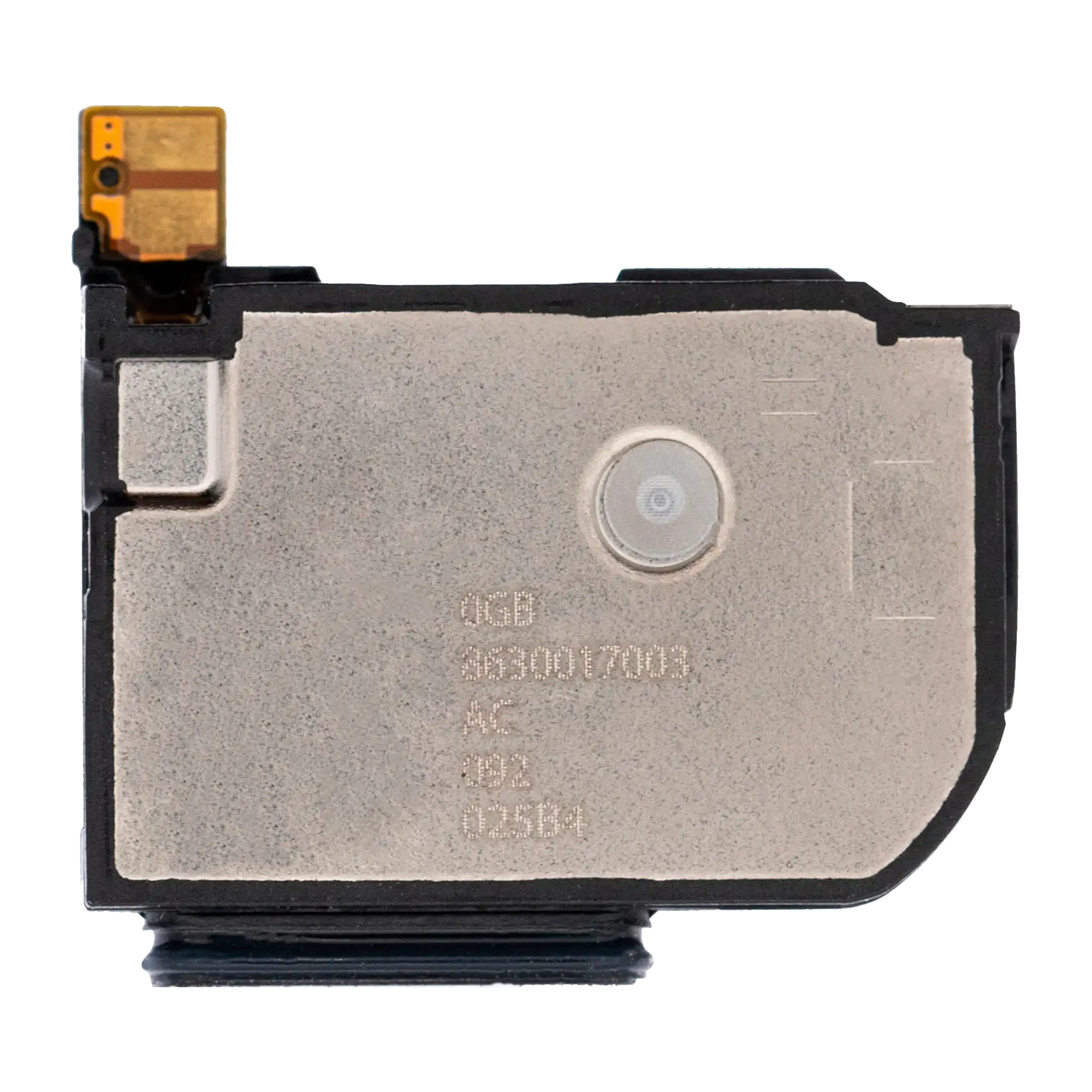 Loud Speaker For Google Pixel 5 (Premium)