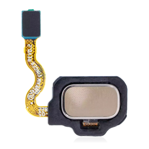[SP-S8P-FPRWFC-GO] Fingerprint Reader With Flex Cable For Samsung Galaxy S8 / S8 Plus (Maple Gold) (Premium)