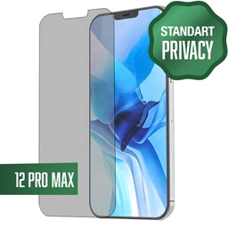 [TG-I12PM-PRV] Privacy Clear Tempered Glass for iPhone 12 Pro Max (6.7&quot;) - Regular