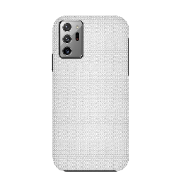 [CS-N20-PL-SI] Paladin Case for Note 20 - Silver